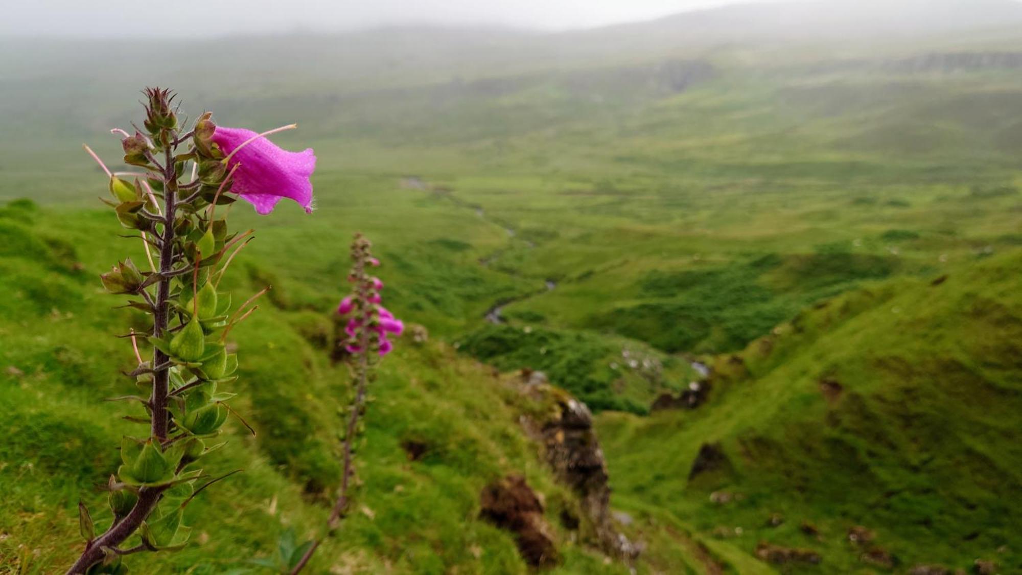 Uig Chalets Idrigill Hill Chalet Zimmer foto